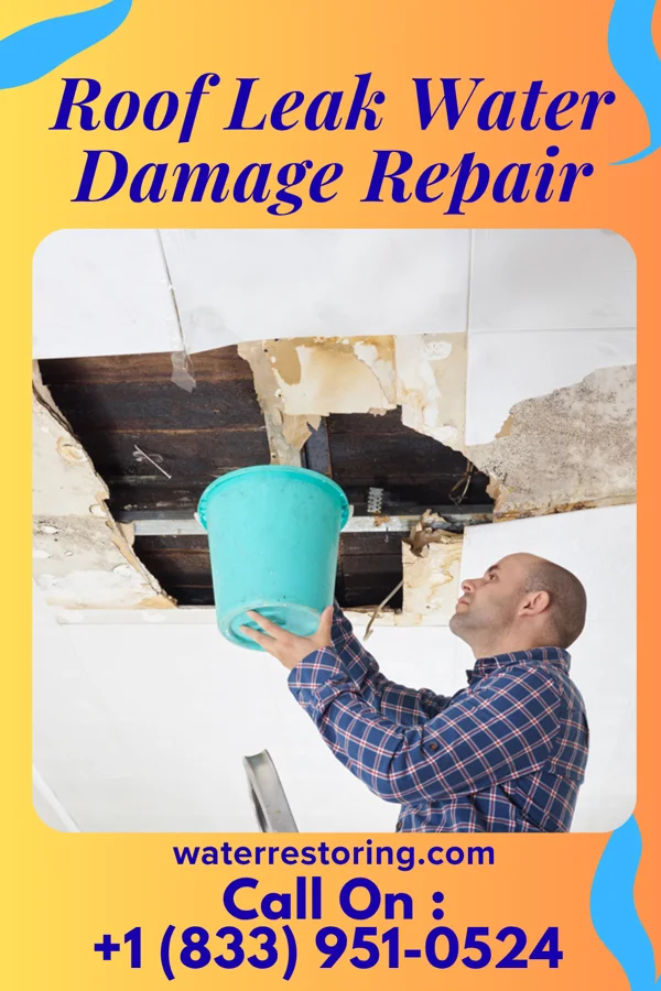 Roof Leak Water Damage Repair in Pollard, AL