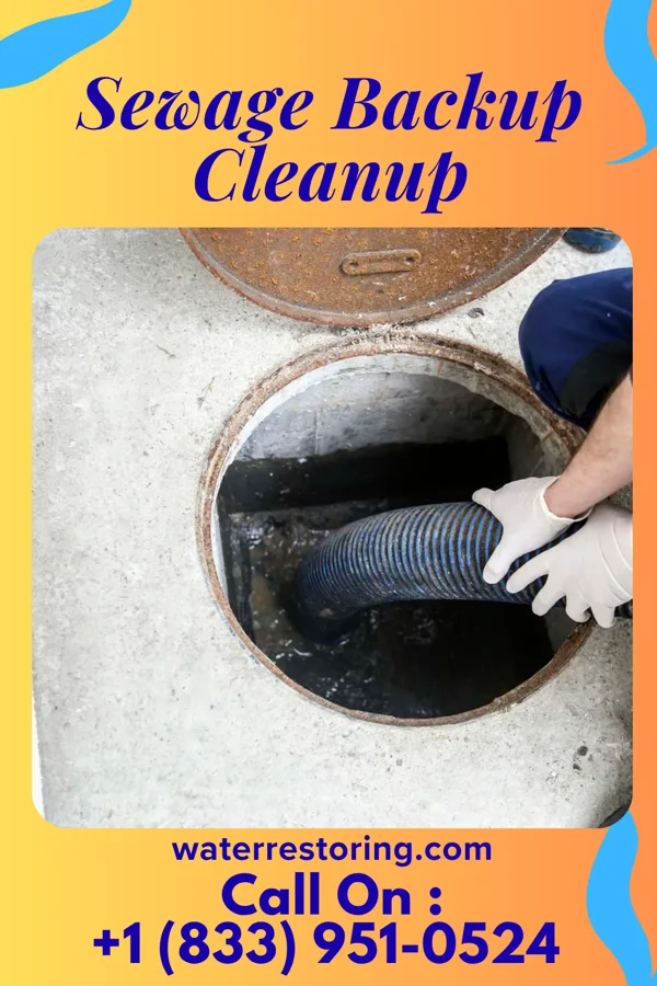 Sewage Backup Cleanup in Pollard, AL